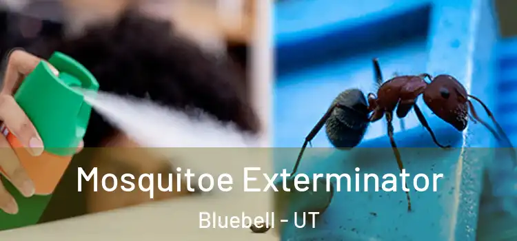  Mosquitoe Exterminator Bluebell - UT
