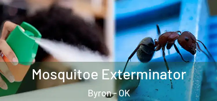  Mosquitoe Exterminator Byron - OK