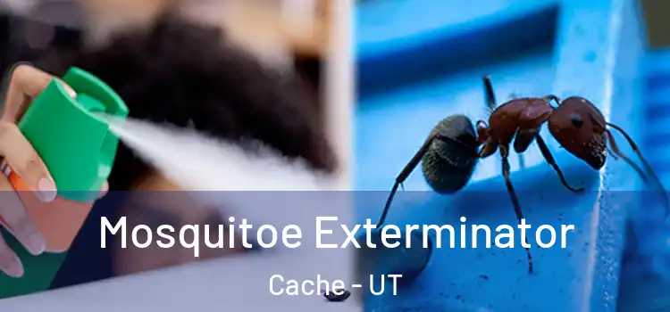  Mosquitoe Exterminator Cache - UT