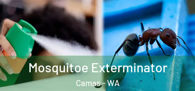 Mosquitoe Exterminator Camas - WA