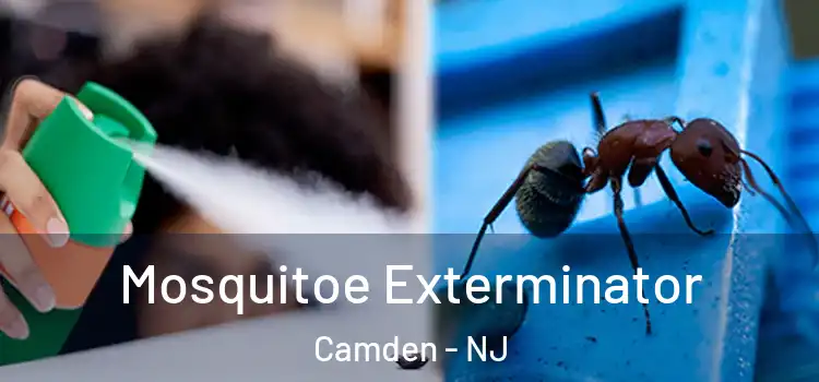 Mosquitoe Exterminator Camden - NJ