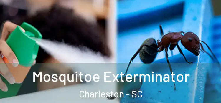 Mosquitoe Exterminator Charleston - SC