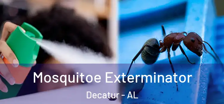 Mosquitoe Exterminator Decatur - AL
