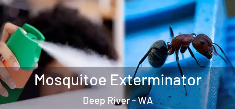  Mosquitoe Exterminator Deep River - WA