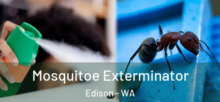  Mosquitoe Exterminator Edison - WA