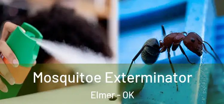  Mosquitoe Exterminator Elmer - OK