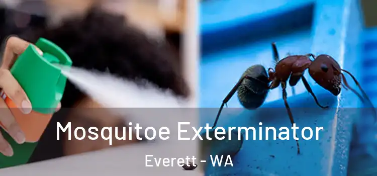 Mosquitoe Exterminator Everett - WA