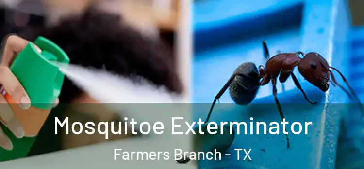 Mosquitoe Exterminator Farmers Branch - TX