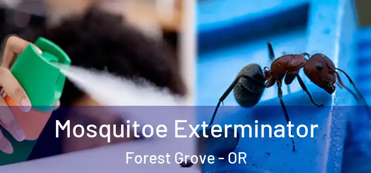 Mosquitoe Exterminator Forest Grove - OR