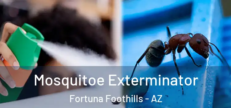 Mosquitoe Exterminator Fortuna Foothills - AZ