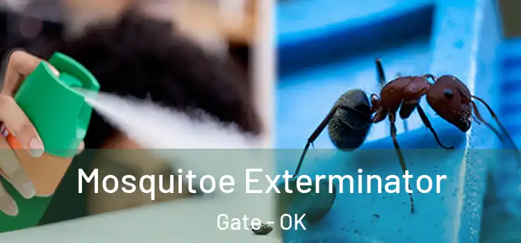  Mosquitoe Exterminator Gate - OK