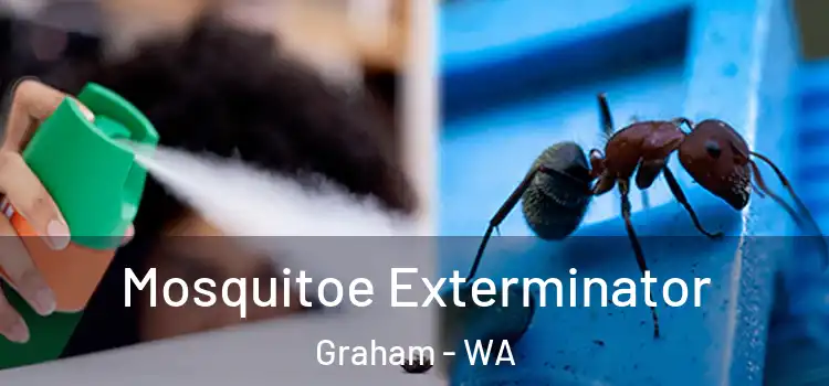  Mosquitoe Exterminator Graham - WA