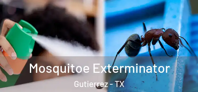 Mosquitoe Exterminator Gutierrez - TX