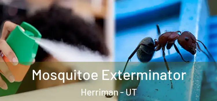  Mosquitoe Exterminator Herriman - UT