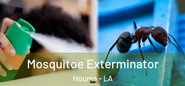 Mosquitoe Exterminator Houma - LA