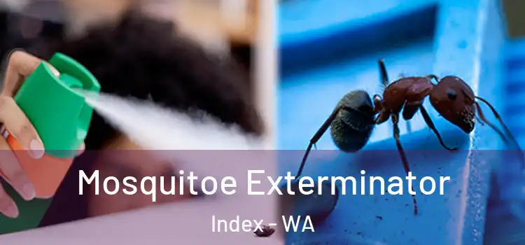 Mosquitoe Exterminator Index - WA