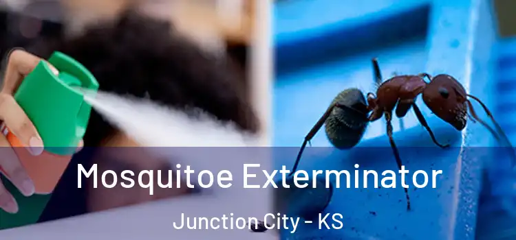 Mosquitoe Exterminator Junction City - KS