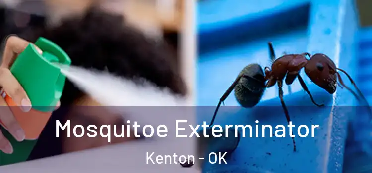  Mosquitoe Exterminator Kenton - OK
