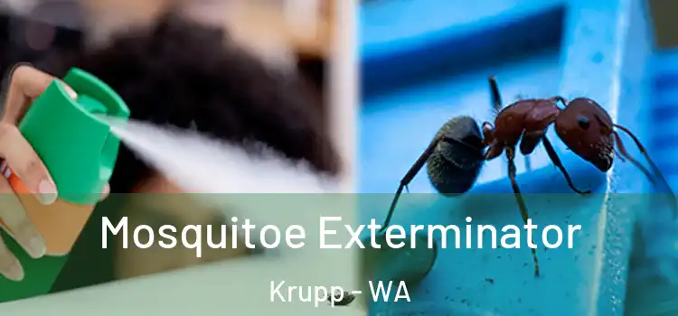 Mosquitoe Exterminator Krupp - WA