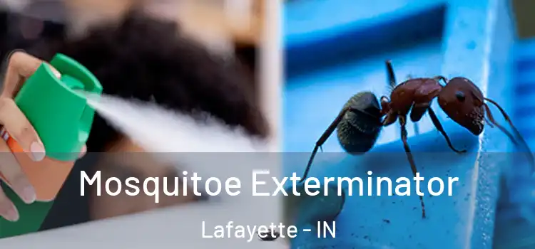 Mosquitoe Exterminator Lafayette - IN