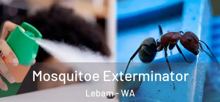 Mosquitoe Exterminator Lebam - WA