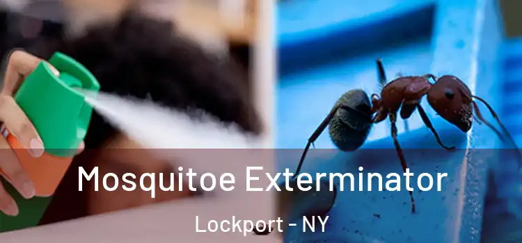 Mosquitoe Exterminator Lockport - NY