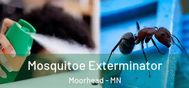 Mosquitoe Exterminator Moorhead - MN