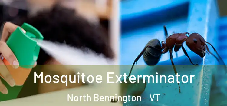 Mosquitoe Exterminator North Bennington - VT