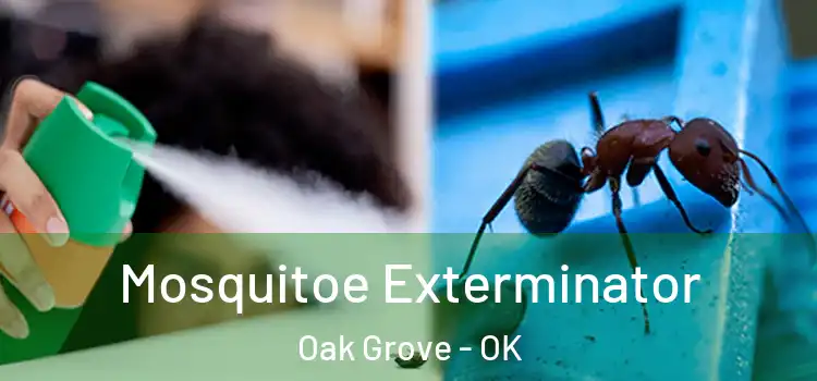  Mosquitoe Exterminator Oak Grove - OK