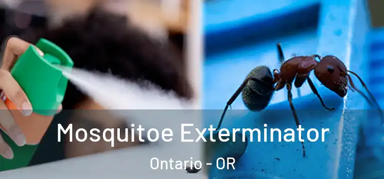Mosquitoe Exterminator Ontario - OR