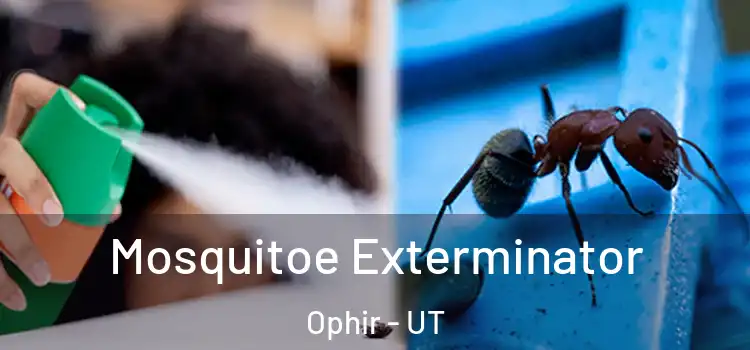  Mosquitoe Exterminator Ophir - UT