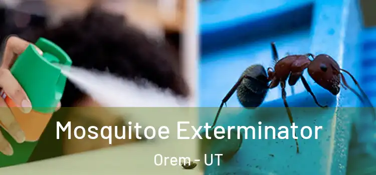  Mosquitoe Exterminator Orem - UT