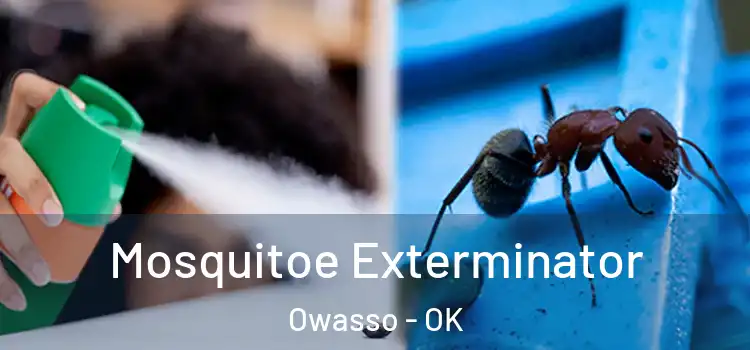 Mosquitoe Exterminator Owasso - OK