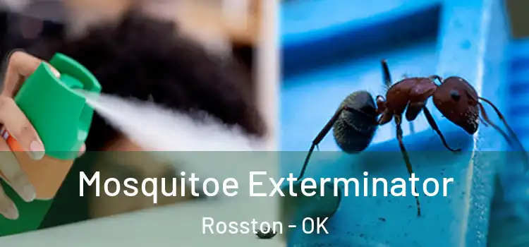  Mosquitoe Exterminator Rosston - OK