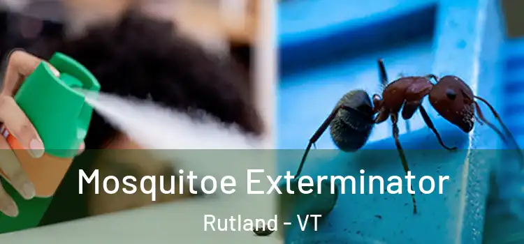 Mosquitoe Exterminator Rutland - VT