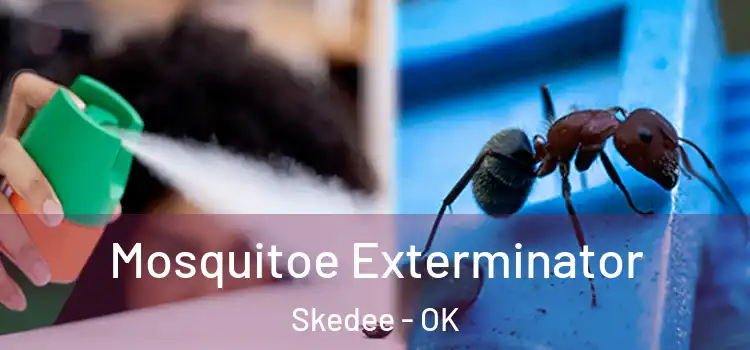  Mosquitoe Exterminator Skedee - OK