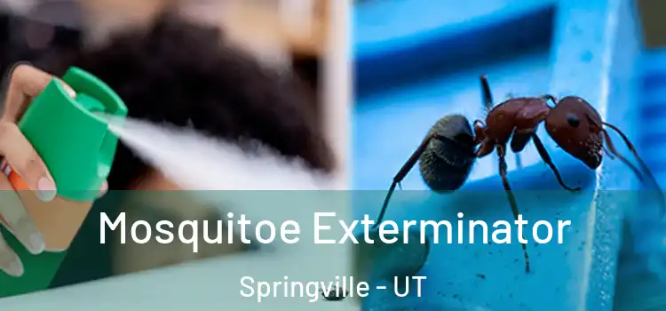  Mosquitoe Exterminator Springville - UT