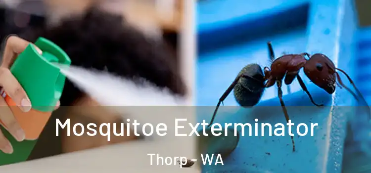 Mosquitoe Exterminator Thorp - WA