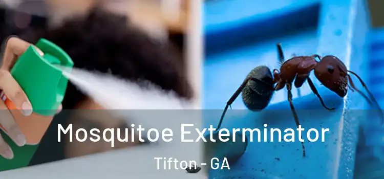  Mosquitoe Exterminator Tifton - GA