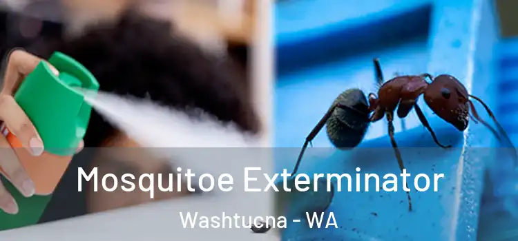 Mosquitoe Exterminator Washtucna - WA