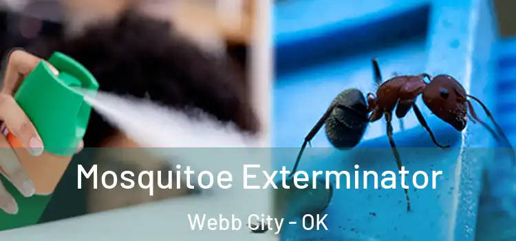  Mosquitoe Exterminator Webb City - OK