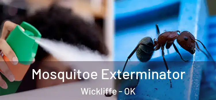  Mosquitoe Exterminator Wickliffe - OK