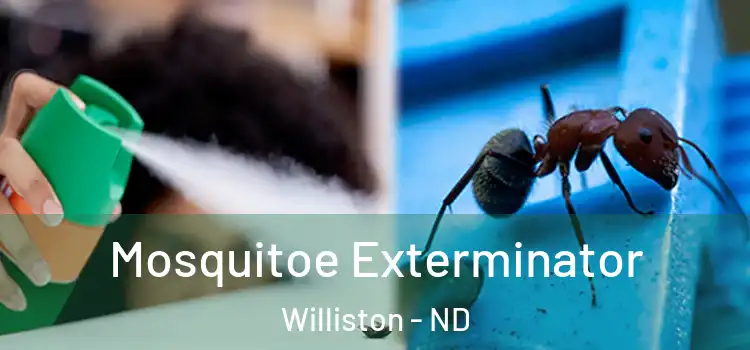 Mosquitoe Exterminator Williston - ND