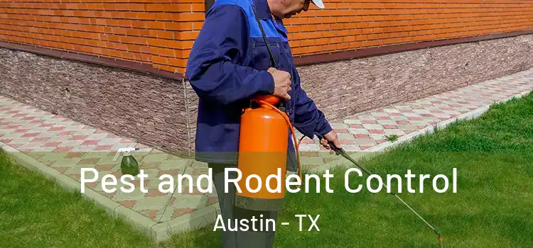 Pest and Rodent Control Austin - TX