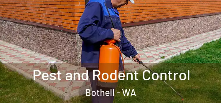  Pest and Rodent Control Bothell - WA