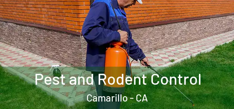  Pest and Rodent Control Camarillo - CA