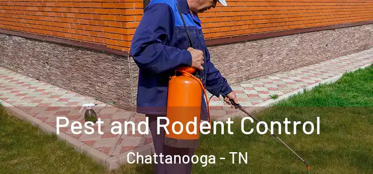 Pest and Rodent Control Chattanooga - TN