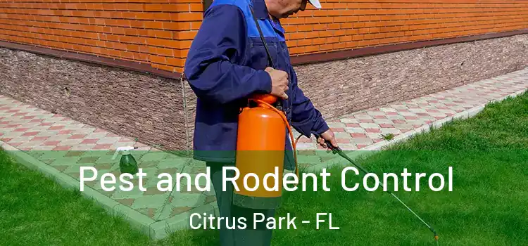  Pest and Rodent Control Citrus Park - FL