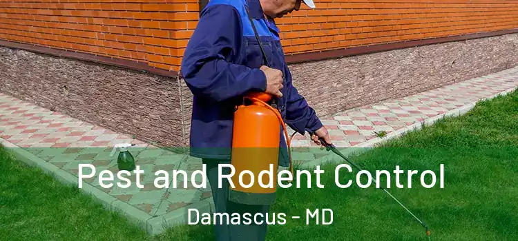 Pest and Rodent Control Damascus - MD