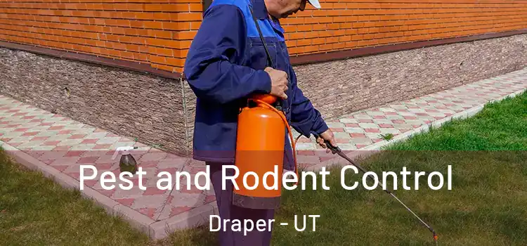  Pest and Rodent Control Draper - UT